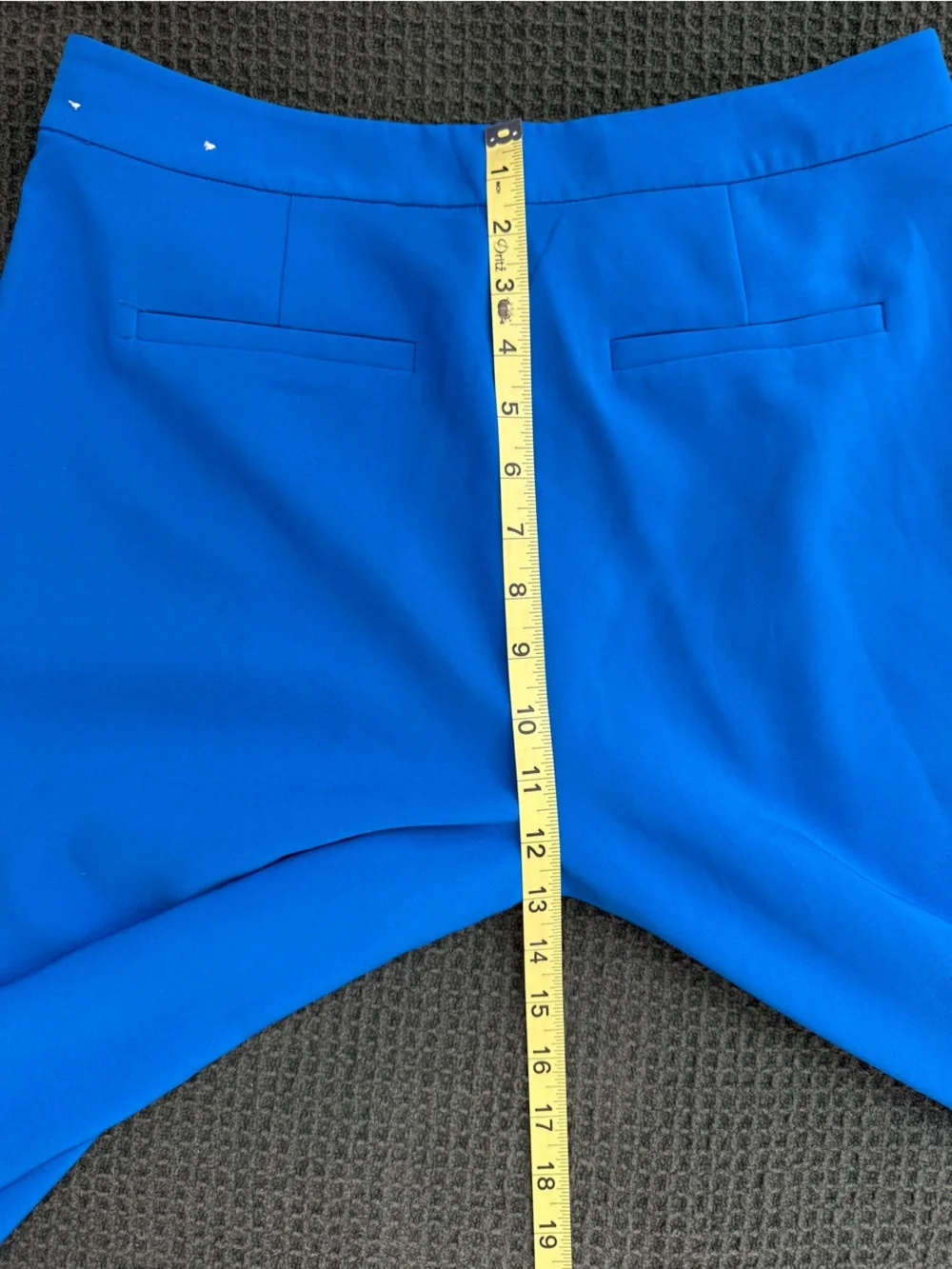 Michael Kors Cobalt Blue Cropped Pants